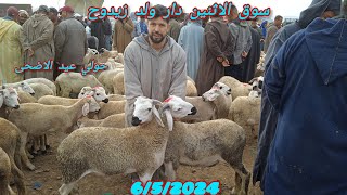 مباشرة  من سوق الاثنين دار ولد زيدوح الحولي والنعجة والحولية عيد الاضحى 6/5/2024