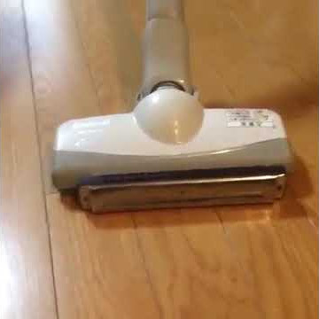 Funny vacuum cleaner vs harmonica vine