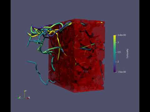 Flow-based tortuosity visualization of porous material
