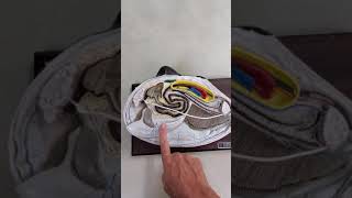Lab 07 - freshwater mussel dissection