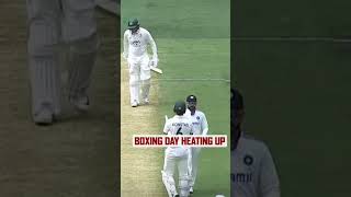 virat kholi fights 🦁 babli badmaash 🔥 #cricket #viratkholi #kingkohli