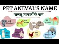 pet animals name । animals name Hindi and English । name of animals एनिमल्स नेम । जानवरों के नाम ।