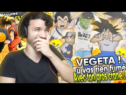 CES PARODIES DE DRAGON BALL SONT TROP DRÔLES ( Dragon Ball Zetla / Résumé foireux de DBZ )