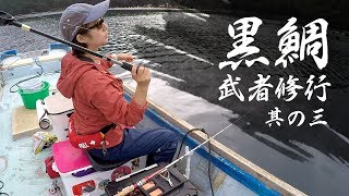 【黒鯛武者修行#3】深秋の尾鷲釣行・マルスイ海産