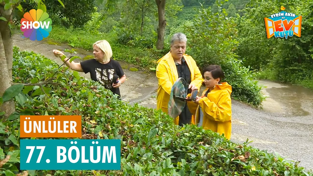 Evrim Akın'la Ev kuşu | 77. Bölüm (CENGİZ KURTOĞLU)