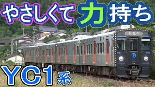 【長崎で増殖中】 JR九州 YC1系 (ハイブリッド気動車) 各地の走行シーン集 長崎本線・大村線・佐世保線 新型車両 【やさしくて力持ち】