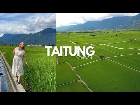 Taitung, my greatest adventure so far in Taiwan 🇹🇼 🌾 [台東, 你是我最最完美的旅程 ]