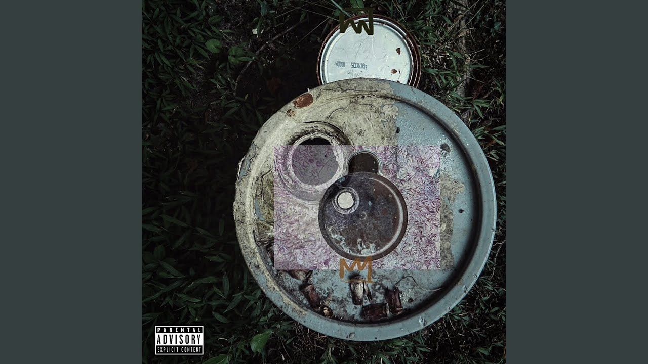 Vibes (feat. Empress)