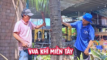 Vua Khỉ cưa hạ gốc cây Dừa khó tại Sài Gòn