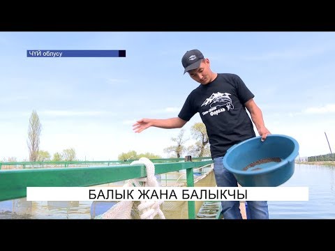 Video: Minecraftта балыкты жана балыкты кантип жасаса болот