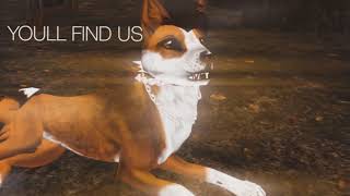 [FERAL HEART] Chasing the sun - Collab ft. @JuniperSong
