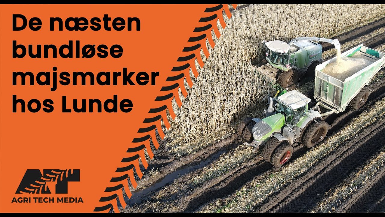 🇩🇰 Lunde Maskinstation i de næsten bundløse majsmarker