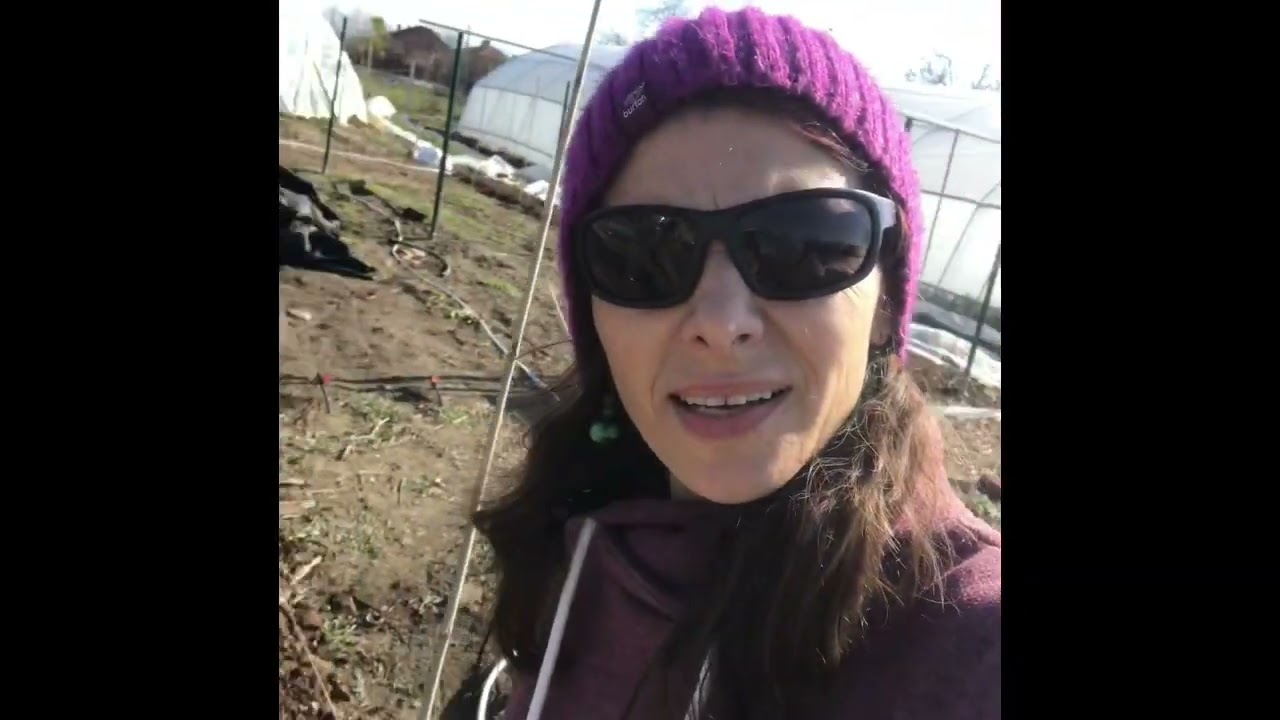 Перманентни лехи