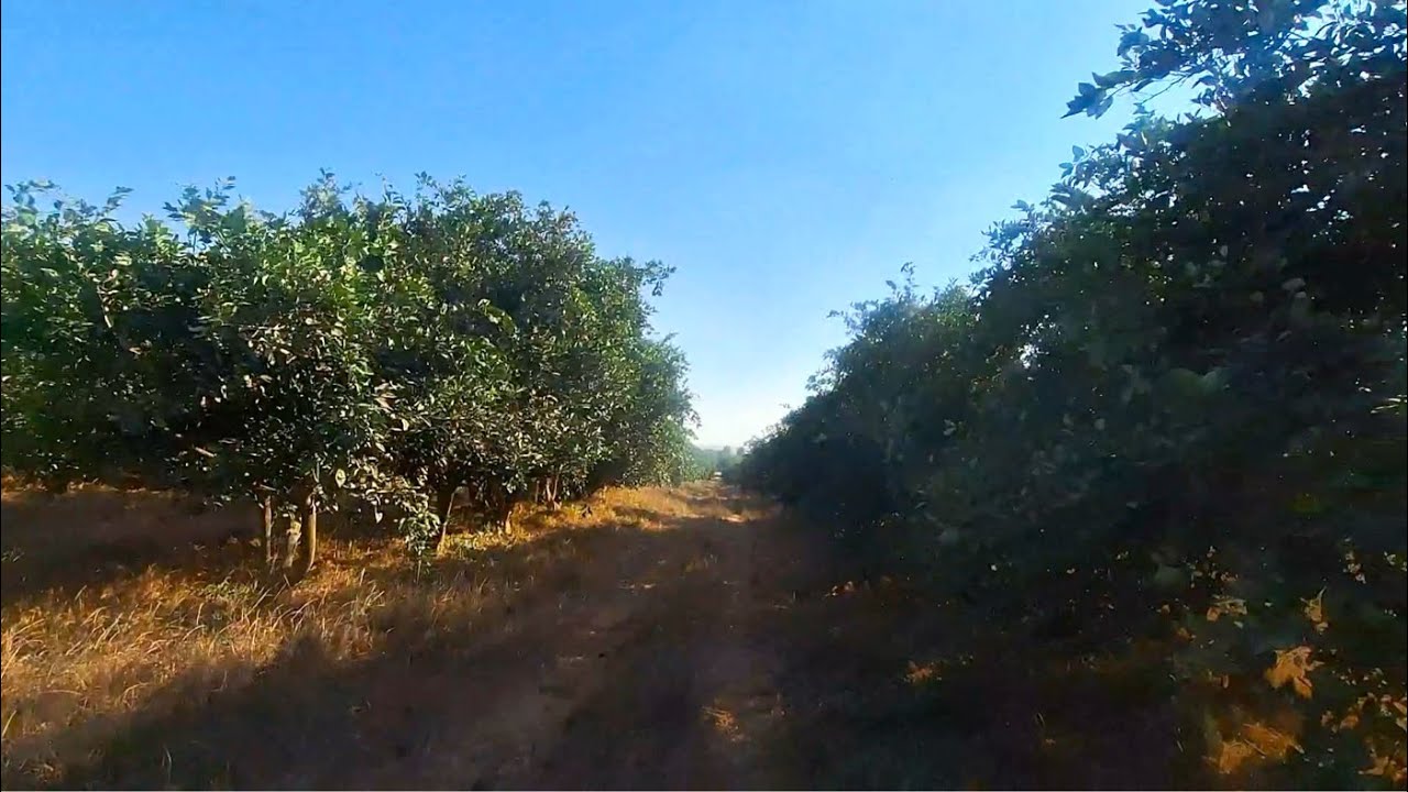 مزرعة 200 فدان كل الامكانيات مسجلة شهر عقاري في طمبول طريق مصر اسكندرية الصحراوي