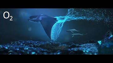 O2 New 4G LTE network, 2018 | Music for  TV Commercial