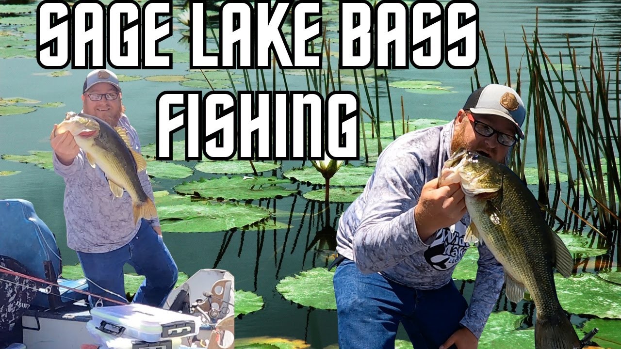Bass Fishing Sage Lake