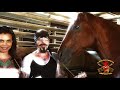 The cutest song ever written for a horse named Roxi by: Christopher Ameruoso