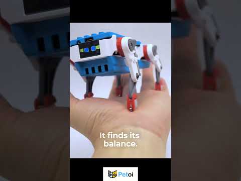 Everyone Should Have a Robot — Meet Quaddle by Petoi