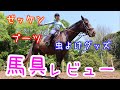 馬具好きYuriが馬装しながら馬具レビュー【サジタリアス馬具紹介】