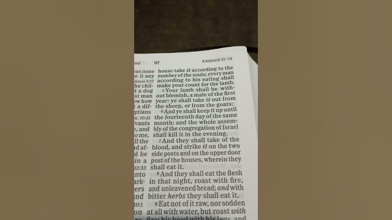 Bible Reading Exodus Chapter 12 Verse 5 6 bible biblereading bible-reading-exodus-chapter-12-verse-5-6-bible-biblereading