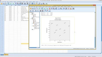 SPSS - Multidimensional Scaling