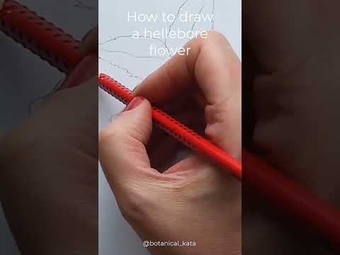 How to draw