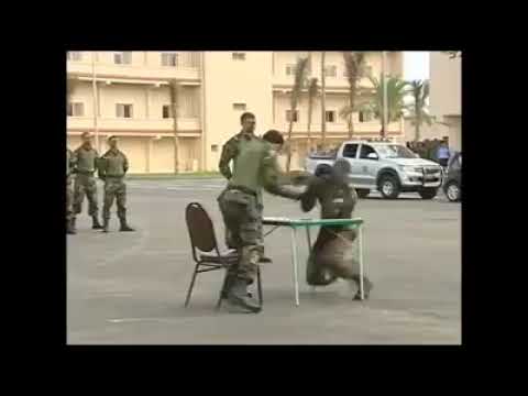 الصاعقة البحرية المصرية