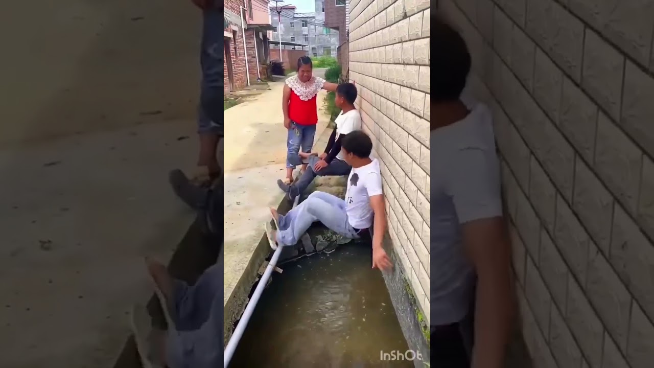 Canies ki new funny 🤣 comedy video and very funny 😂😅😂 two ￼ full episodes