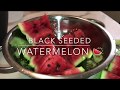 Sweet Best Black Seeded Watermelon Infant  “Mukbang”