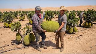 They Planted Breadfruit Trees in the Sahara Desert — What Happened Next Shocked Everyone