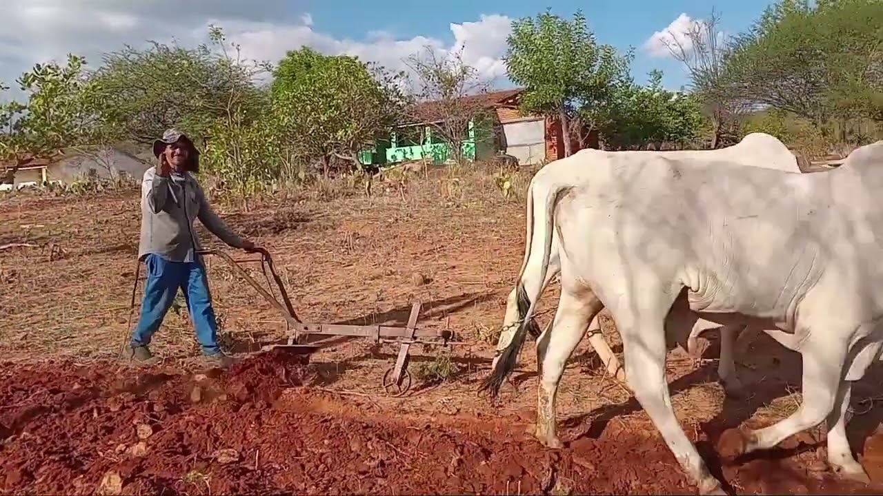 17 de janeiro de 2025