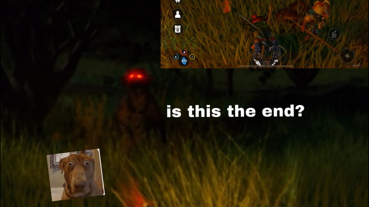 killing a bear in early dawn