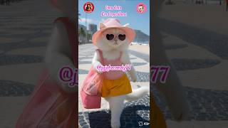 #gatos #gatosengraçado #pets #petsfofos #copacabana #riodejaneiro #petsfofinhos #catlife