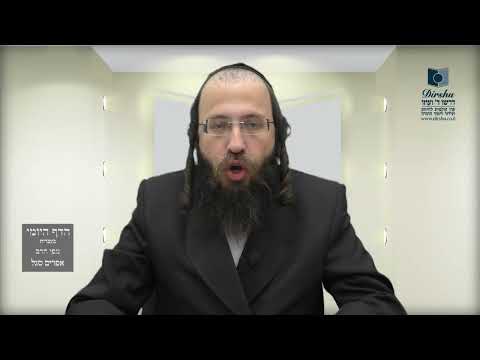 הדף היומי מסכת שבועות דף יד