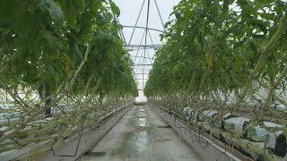 Challenge Center begins Spring planting through Bay Produce program in Superior