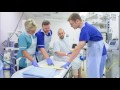 Endoscopy Introduction - The Patient Journey