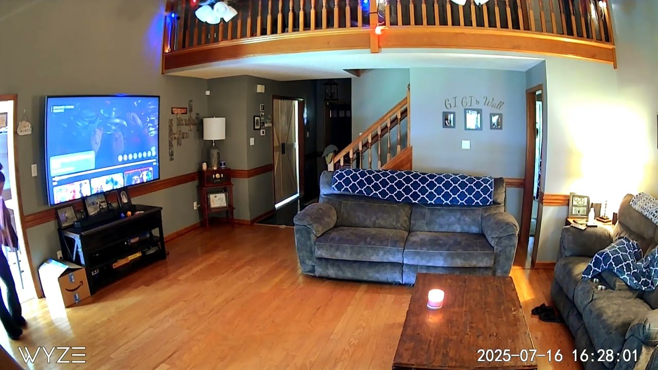 When your cats know how to "drift" 