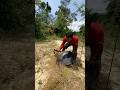 Golden mound #rivergold #goldpanning #goldhunting #goldfind