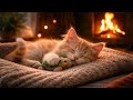 The Most Adorable Sleep ASMR Ever – Soothing Kitten and Fireplace Sounds. #purringcats #asmr #cat
