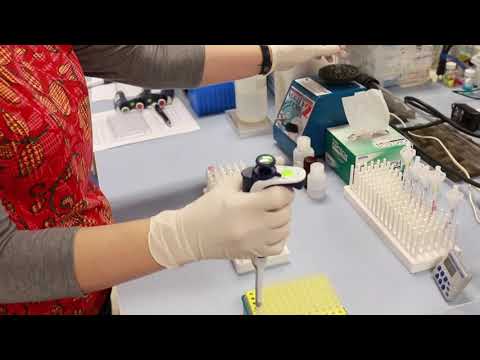 Assay Tips & Tricks - Arbor Assays - video from Arbor Assays