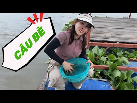 Tập 39 | Câu Cá Trên Bè Gần Cầu Rạch Miễu | Câu Sông Thiên Nhiên | VY HAN FISHING