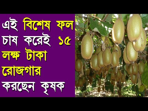 ভিডিও: কিউবি পয়েন্ট কোথায়?