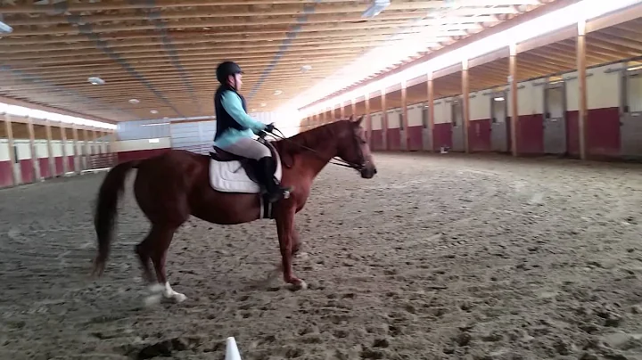 Liberty Sewall intro test A. Suffolk stables