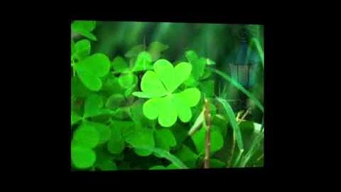 thợ sửa chữa điện nước tại nhà quận Gò Vấp call 0907 323 053