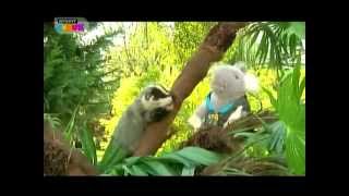 Smart Çocuk Reklam Kuşağı - 29 Haziran 2013