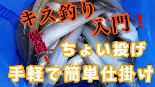 釣り初心者おすすめ！簡単キス釣り仕掛け紹介！コメント欄質問是非。