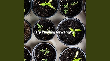 Superlative Backdrops for Limitless Boosts