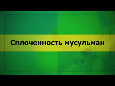 Сплоченность мусульман (Ключ Счастья)  || Абу Яхья