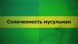 Сплоченность мусульман (Ключ Счастья)  || Абу Яхья
