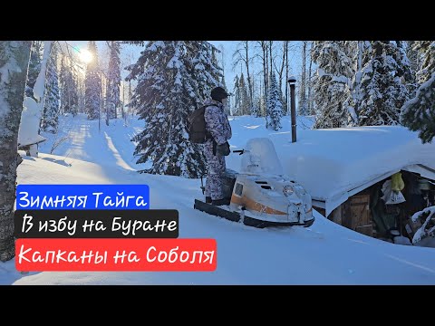 В избу на